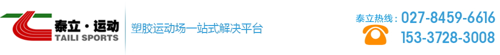 武漢泰立運動場地工程有限公司